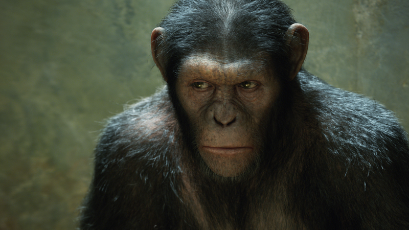 Illustration for article titled 12 Excellent Movies That Use VFX To Tell A Story